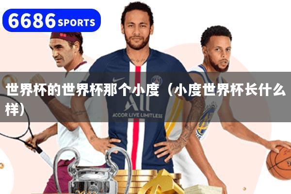 世界杯的世界杯那个小度(小度世界杯长什么样)