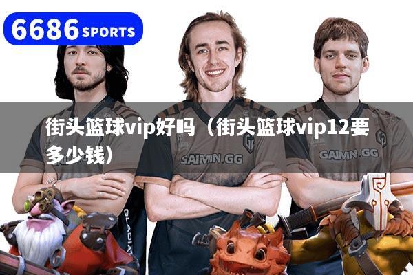 街头篮球vip好吗（街头篮球vip12要多少钱）