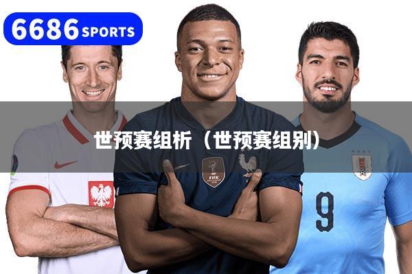 世预赛组析（世预赛组别）