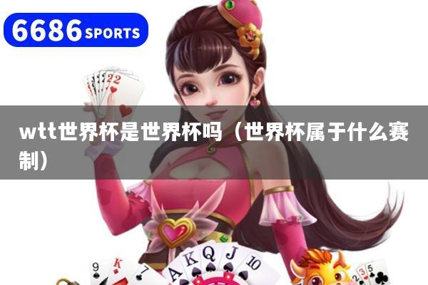 wtt世界杯是世界杯吗（世界杯属于什么赛制）